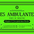 Les Ambulantes - Chapitre 5