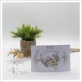 4enscrap - Mise en avant Bougainvilliers & Laurier rose