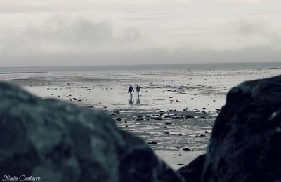 Sur la route de La Couarde : montage vidéo