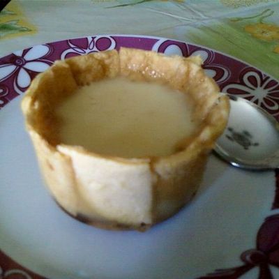 Charlotte à la crème vanillée Dukan (PP)