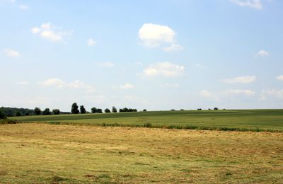 au delà de l'horizon...