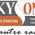 Sky One Cameroun: La première radio Camerounaise sur Internet.