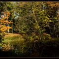 Toujours au parc de la tête d'or