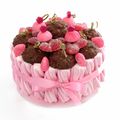 Gâteau de bonbons  guimauve rose hérissons chocolat 