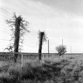 Un terrain de foot dans les vignes.