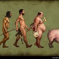 Evolution masculine