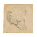 Leonardo da Vinci's Head of a Boar to be offered at Christie's London in July