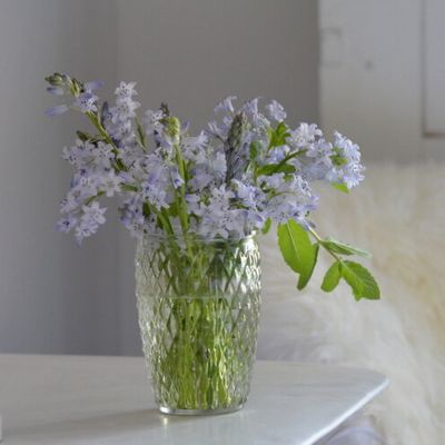 Les joies du jardinage...