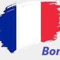 11 novembre