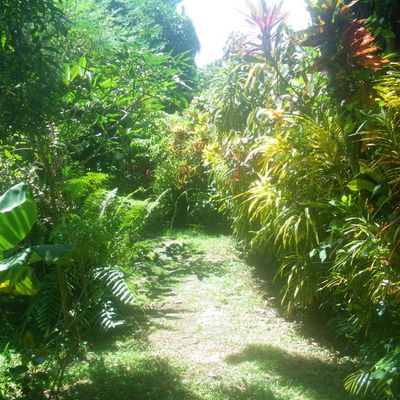 Entrez, n'hésitez pas!