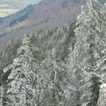 Ski de Rando Nordique Vercors - Crobache D'Herbounouse (Col de Carri)