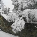 neige en corse 11 02 2012