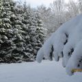  l'hiver me fait toujours rêver...j'aime le bruit de mes pas dans la neige