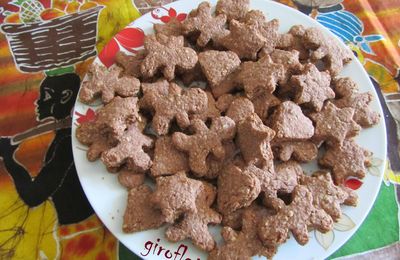 Sablés noix de coco, chocolat et flocons d'avoine 