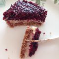 Raw vegan blueberry cheesecake 