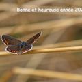 Un peu de rab ...