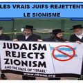 !!Génocide à Gaza: J 251!! 'La dernière phase du sionisme est en cours