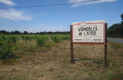 Le vignoble de l'Atrie, tel le phénix, avec Elise Hamant!...