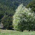 Tombeau pour UN père