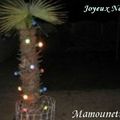 KIKIveutle sapin, Joyeux noël à tous !