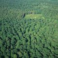 Le Moulin Des Pres situé à 700 m de la Forêt de Mormal