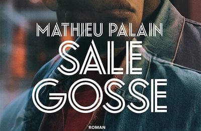 Sale gosse- Mathieu Palain: immersion totale en PJJ