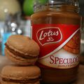 Macarons aux speculoos