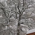 Une journée sous le signe de la neige...