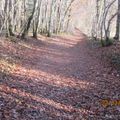 hier,superbe journée ensoleillée,alors vtt au programme...  