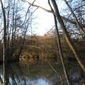 Les Bords du Loiret - En Décembre 