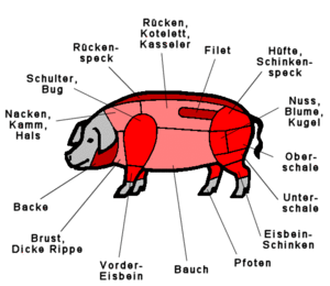 OS PORCOS SABEN SUMAR