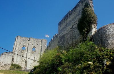 FOULQUES NERA, LE VAUBAN DE TOURAINE II