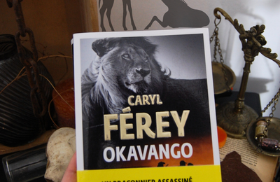 [ AVIS LECTURE ] Okavango de Caryl Férey