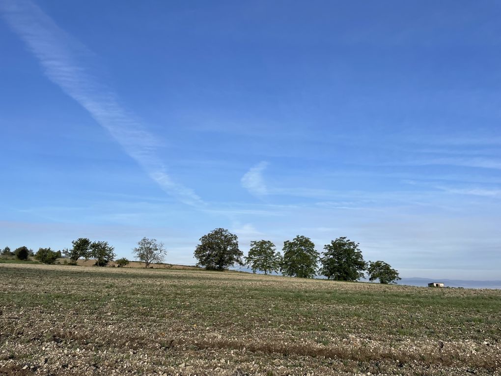Vendredi 03 octobre 2025 sur un des balcons de ma ville  , en date du 29 sept 2025 et le vent était très froid , ça réveille de bon matin ... Je vous laisse contempler mon diaporama 
