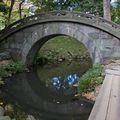 Les jardins japonais l'eau