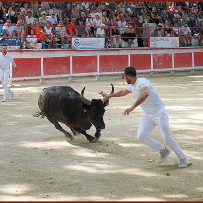 Remoulins 