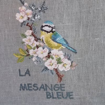 Etudes aux oiseaux Veronique Enginger  les brodeuses Parisiennes