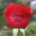 Bonne fête