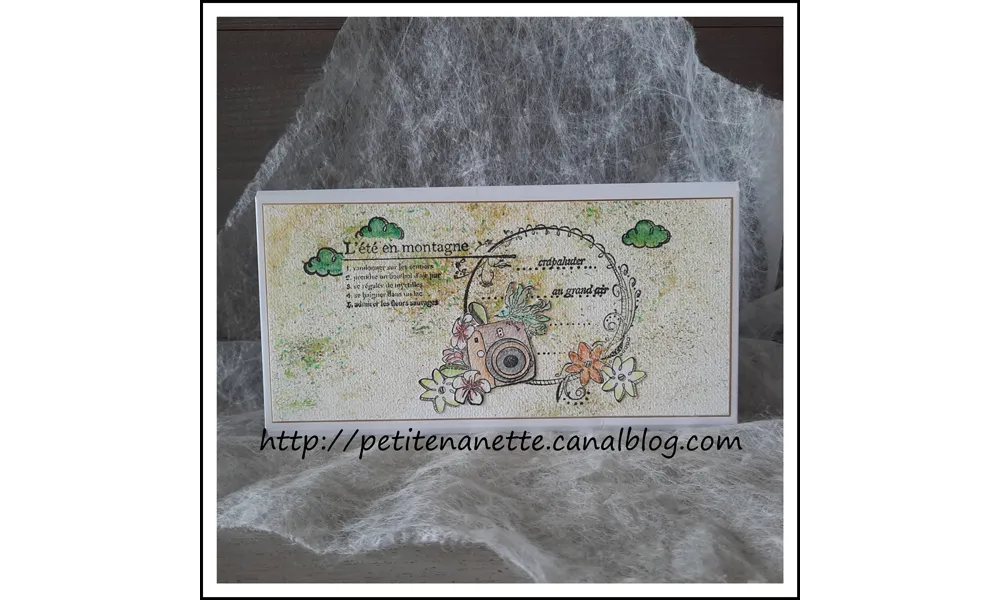 Pochette surprise...