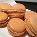 Macarons crème au praliné 