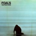 Foals - What went down - 