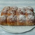 Brioche Buchty