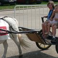 Dimanche au Galop