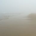 Misty sea