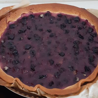 Tarte aux raisins noirs
