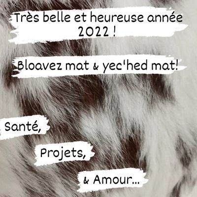 Belle et heureuse année 2022 ! 