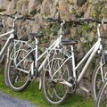 Visit Dublin by bike