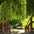 Prairie des filtres et jardin japonais.