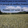Psaumes 147 verset 14