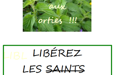 Aux orties ! (petitmoulin)